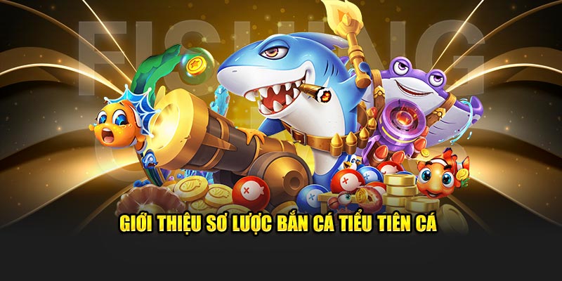 Giới thiệu sơ lược bắn cá tiểu tiên cá